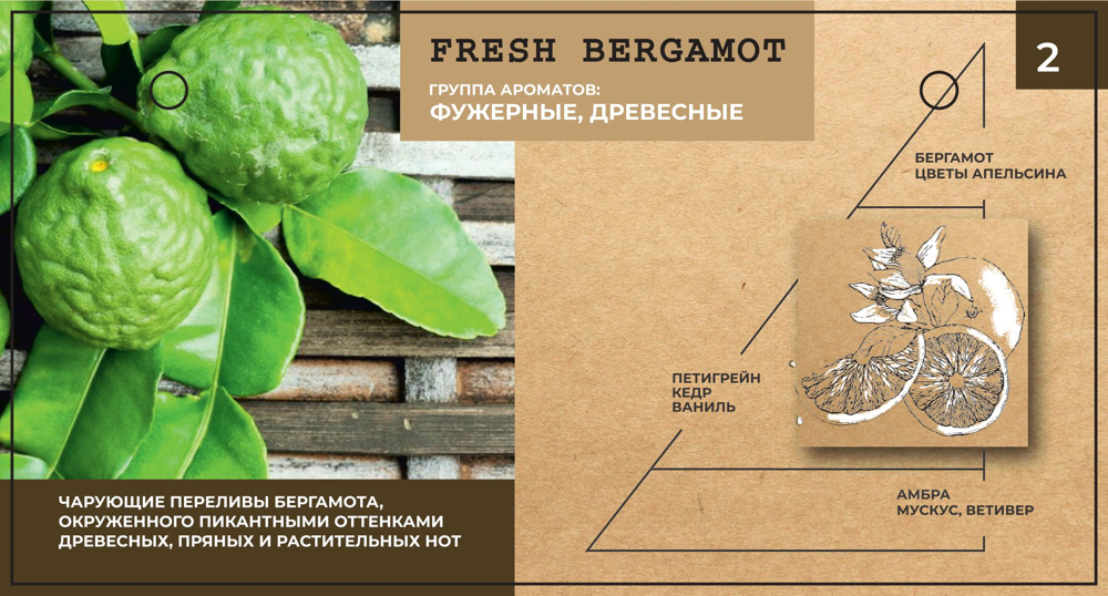 BB One FRAGRANCE CARE Парфюмированный Крем-вуаль для волос Fresh Bergamot 100 мл. — изображение 2